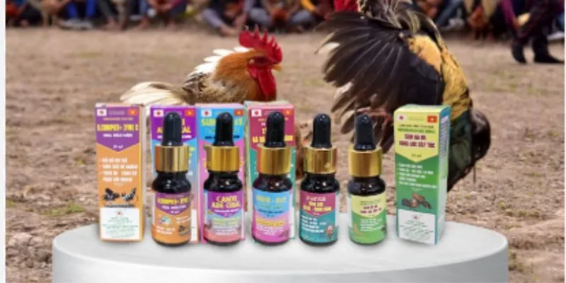Vảy xấu cần tránh trong các trận chiến chọi gà