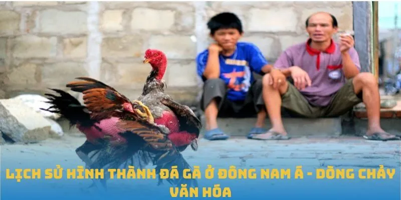 Tổng quan về lịch sử hình thành đá gà ở Đông Nam Á
