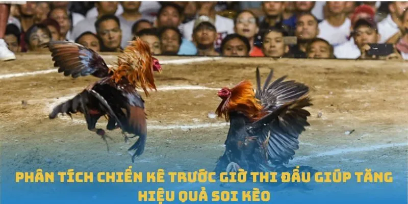 Phân tích chiến kê trước giờ thi đấu giúp tăng hiệu quả soi kèo
